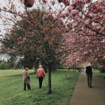 people walking near trees
