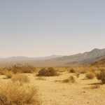 arid landscape with mountains and small bushes